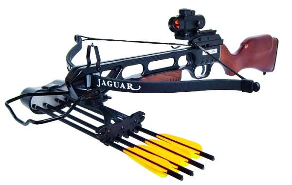 Recurve Armbrust Jaguar Holz 175lbs