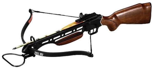 Armbrust Recurve Big Elk I mit Holzschaft 150lbs Set