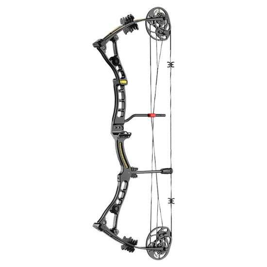 Compound Bogen AXIS 30 - 70 lbs schwarz
