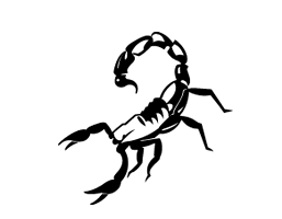 Scorpion Security