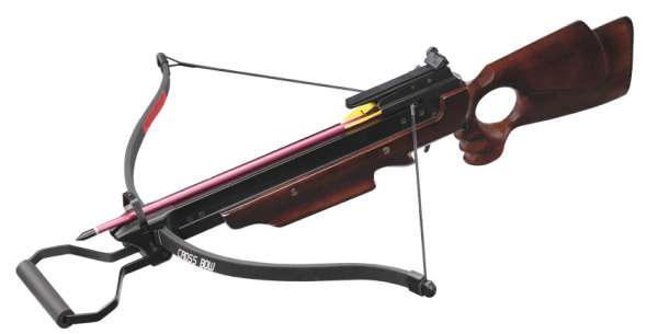 Recurve Armbrust SITTING BEAR I 150 lbs